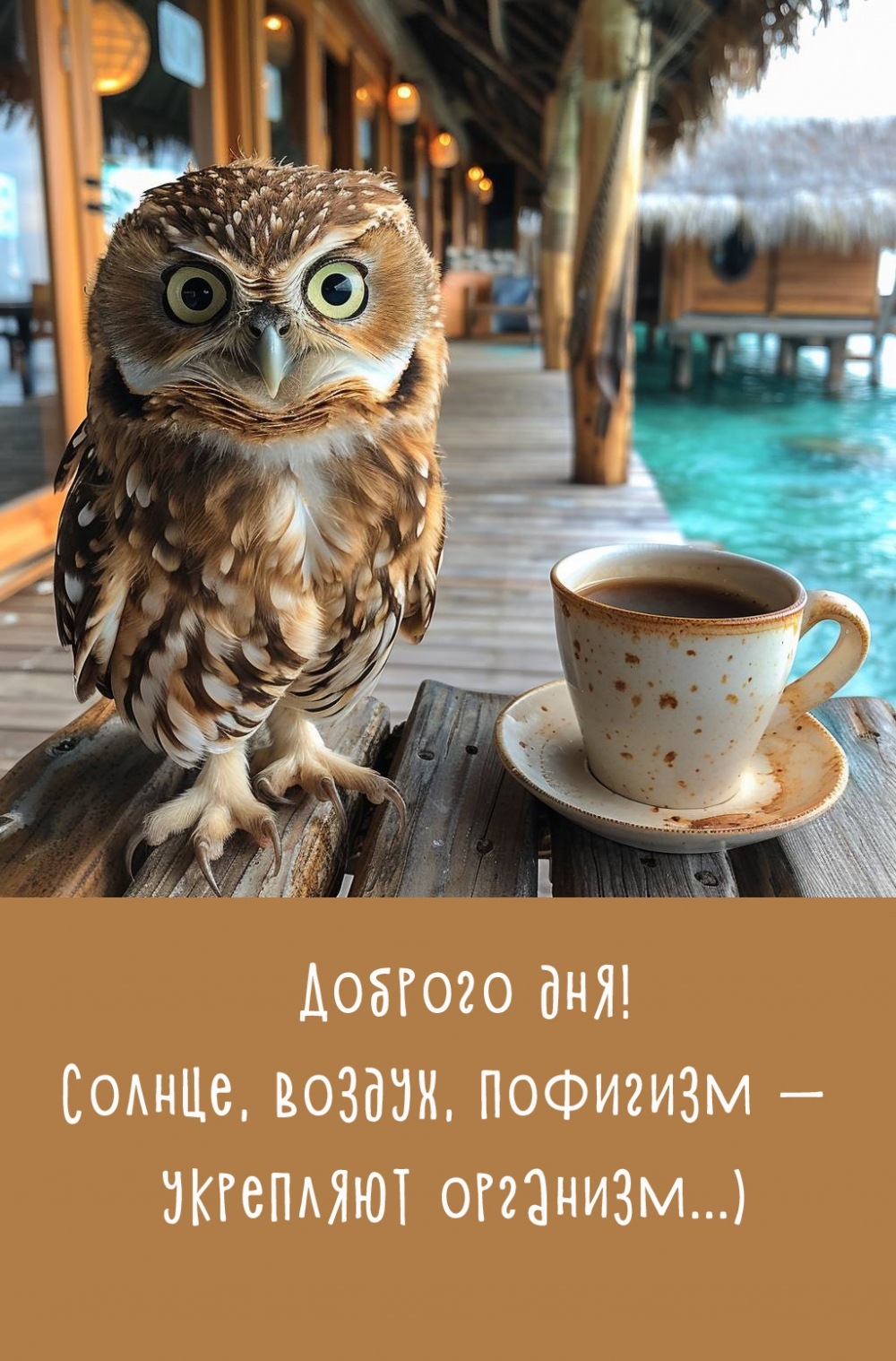 Доброго дня! Солнце, воздух, пофигизм — укрепляют организм...)  