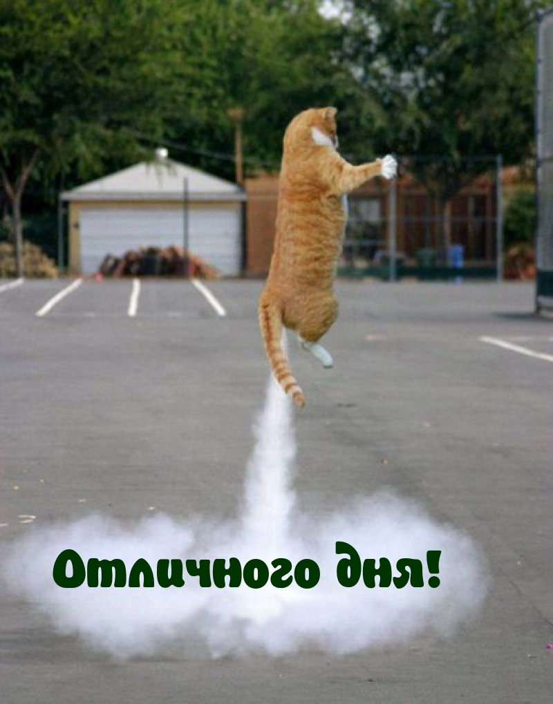 Отличного дня!