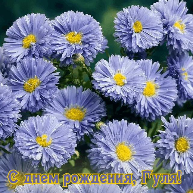 Гуля, тебе пожелаю Того, чего хочет душа