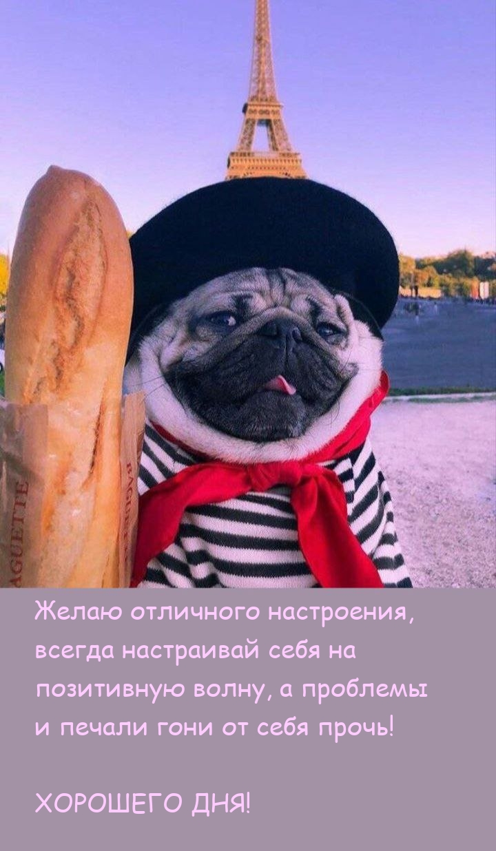 Отличного настроения, всегда настраивай себя на позитивную волну