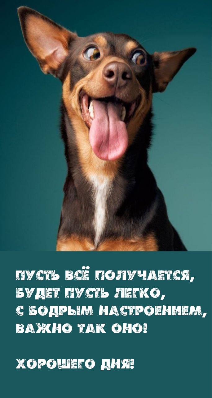 Хорошего дня! Пусть всё получается, будет пусть легко