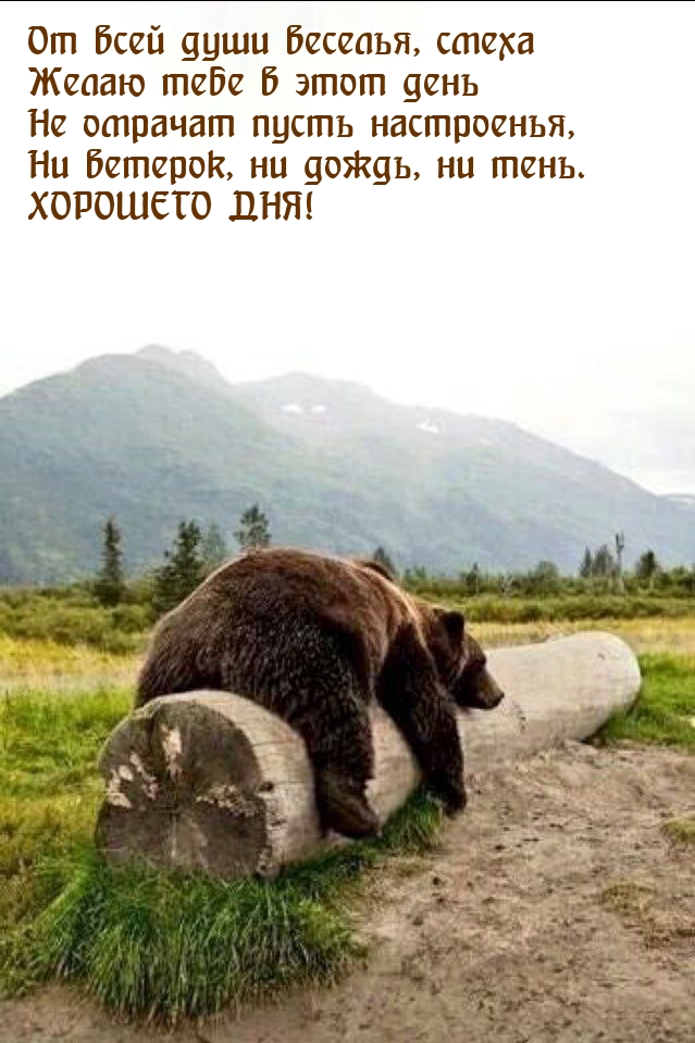 Хорошего дня! От всей души веселья, смеха