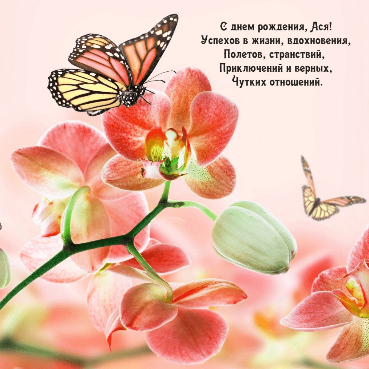 Успехов в жизни, вдохновения, Полетов, странствий