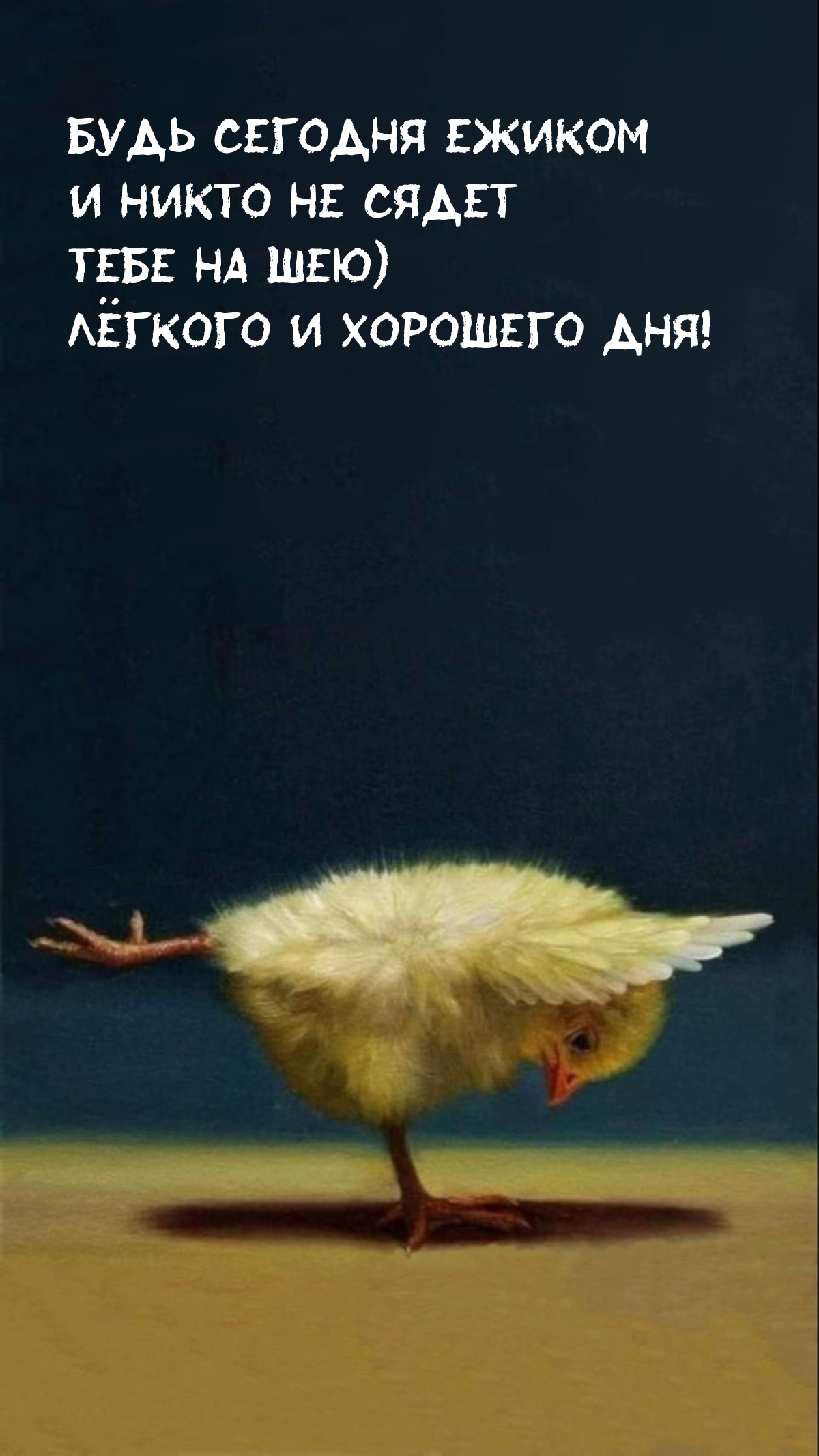 Будь сегодня ежиком и никто не сядет тебе на шею)