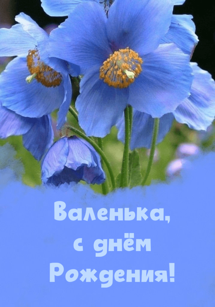 Пусть Фортуны Колесо Принесет тебе всё-всё