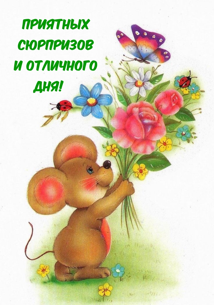 Приятных сюрпризов и отличного дня!