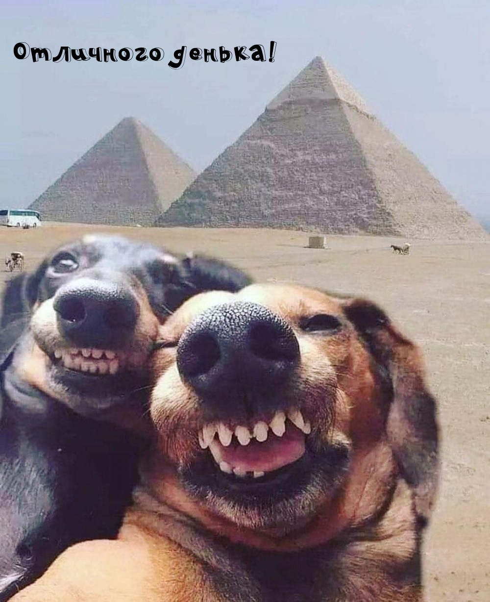 Отличного денька!