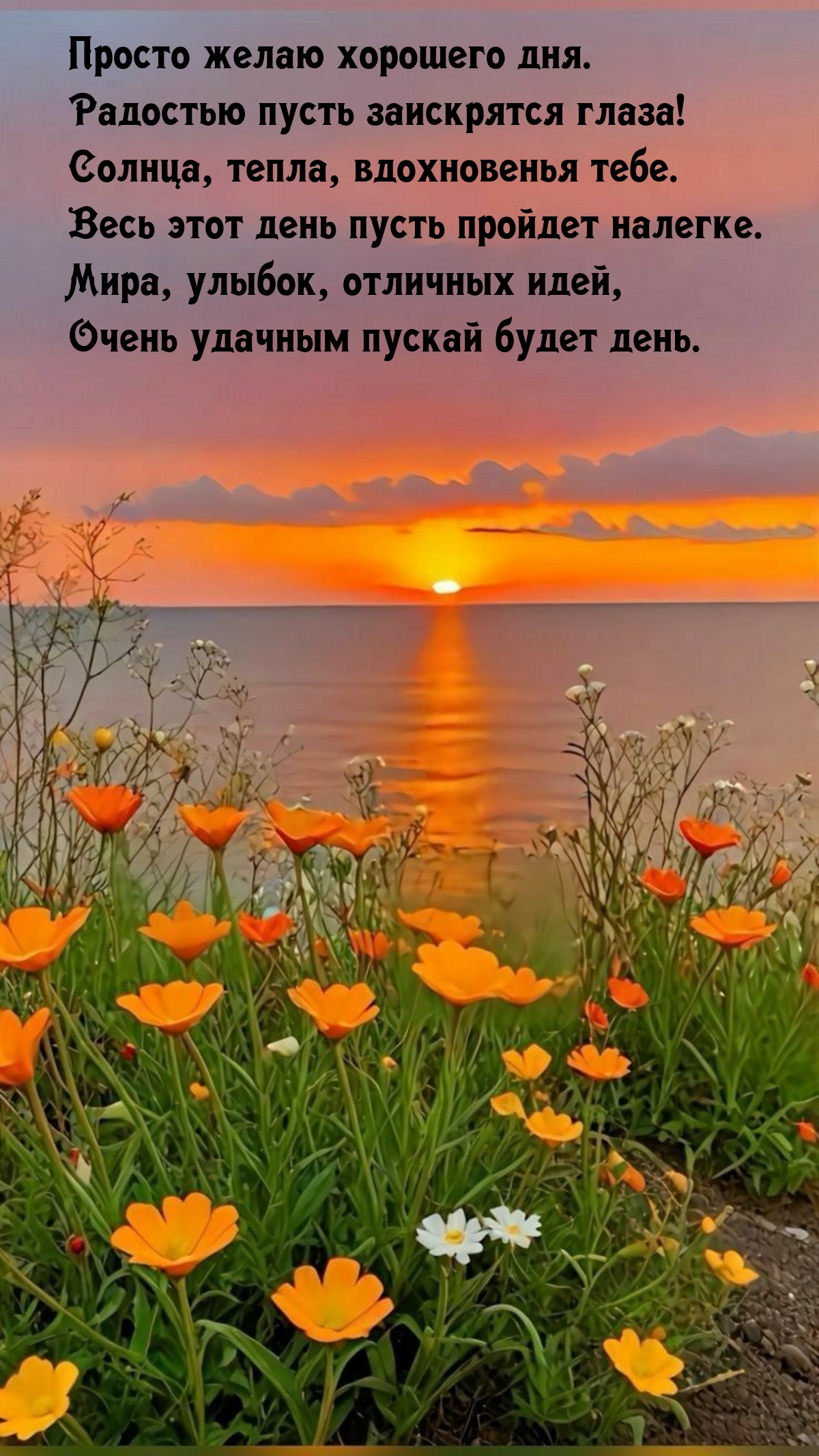 Просто желаю хорошего дня. Радостью пусть заискрятся глаза!