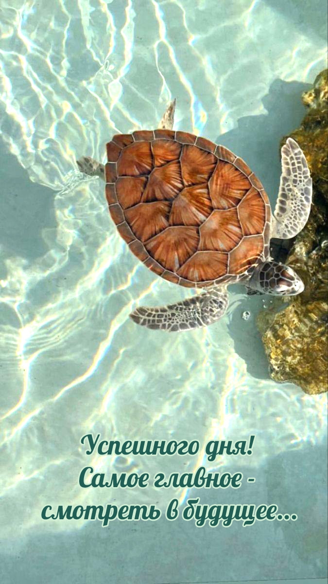Успешного дня! Самое главное - смотреть в будущее...