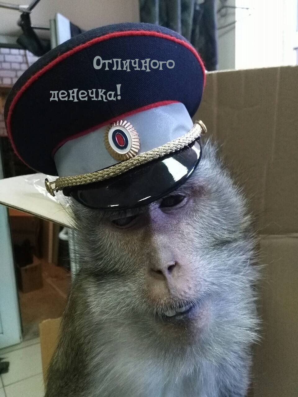 Отличного денечка!