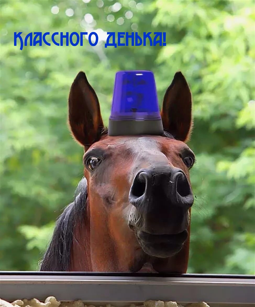 Классного денька!