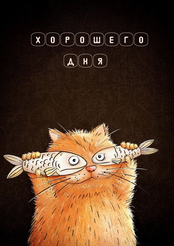 Хорошего дня