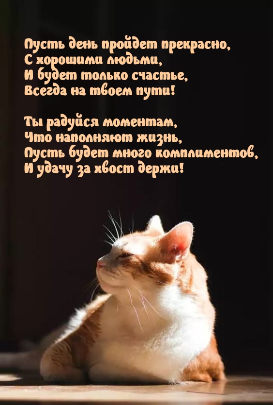 Пусть день пройдет прекрасно, с хорошими людьми