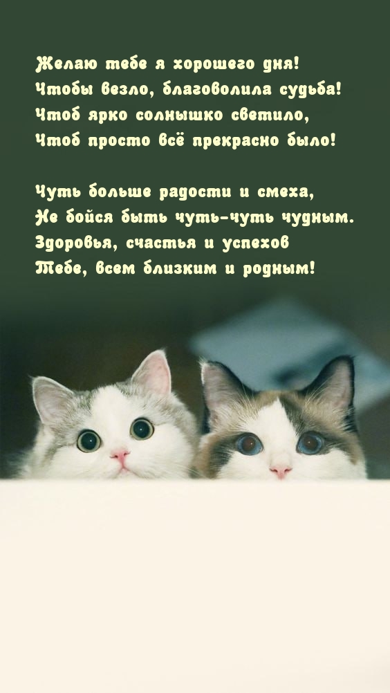 Желаю тебе я хорошего дня! Чтобы везло, благоволила судьба!