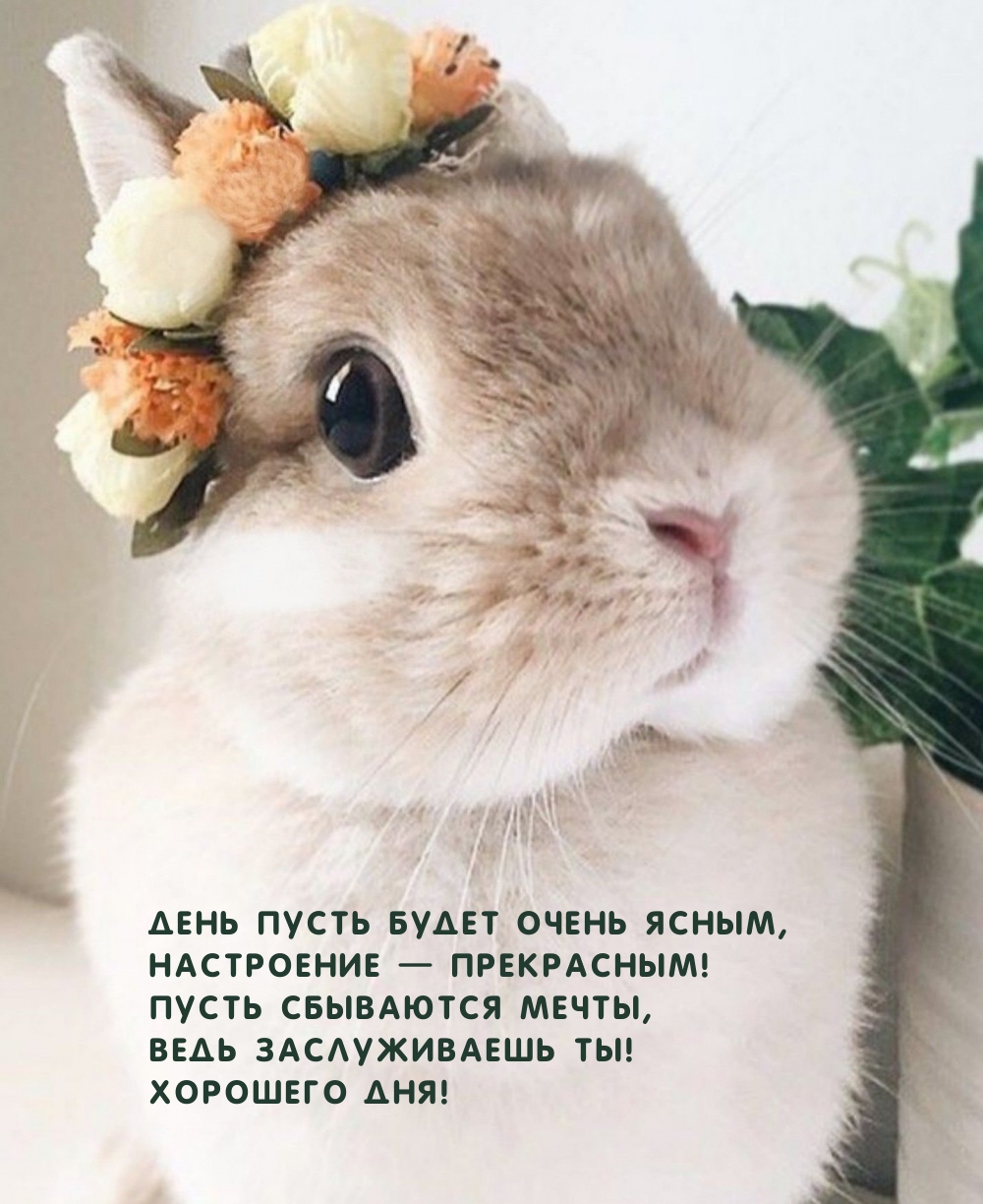 День пусть будет очень ясным, Настроение — прекрасным!