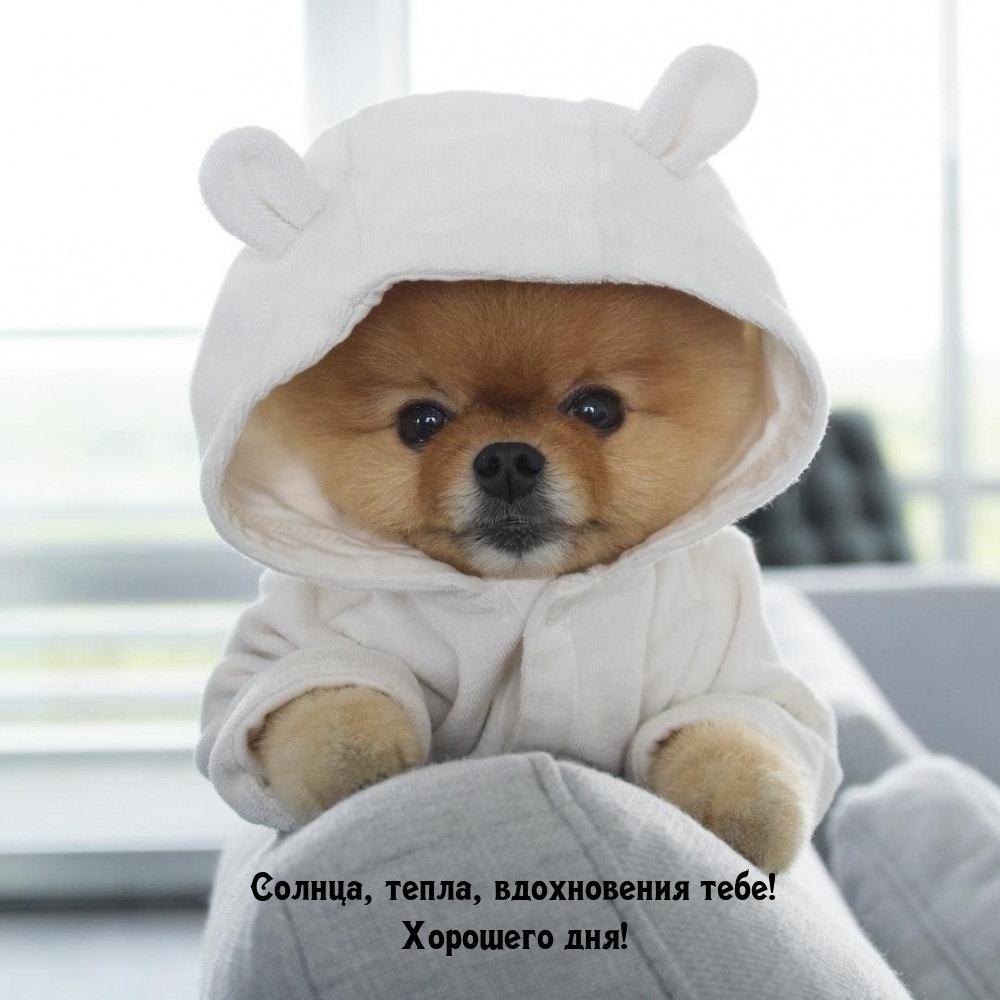 Солнца, тепла, вдохновения тебе! Хорошего дня!