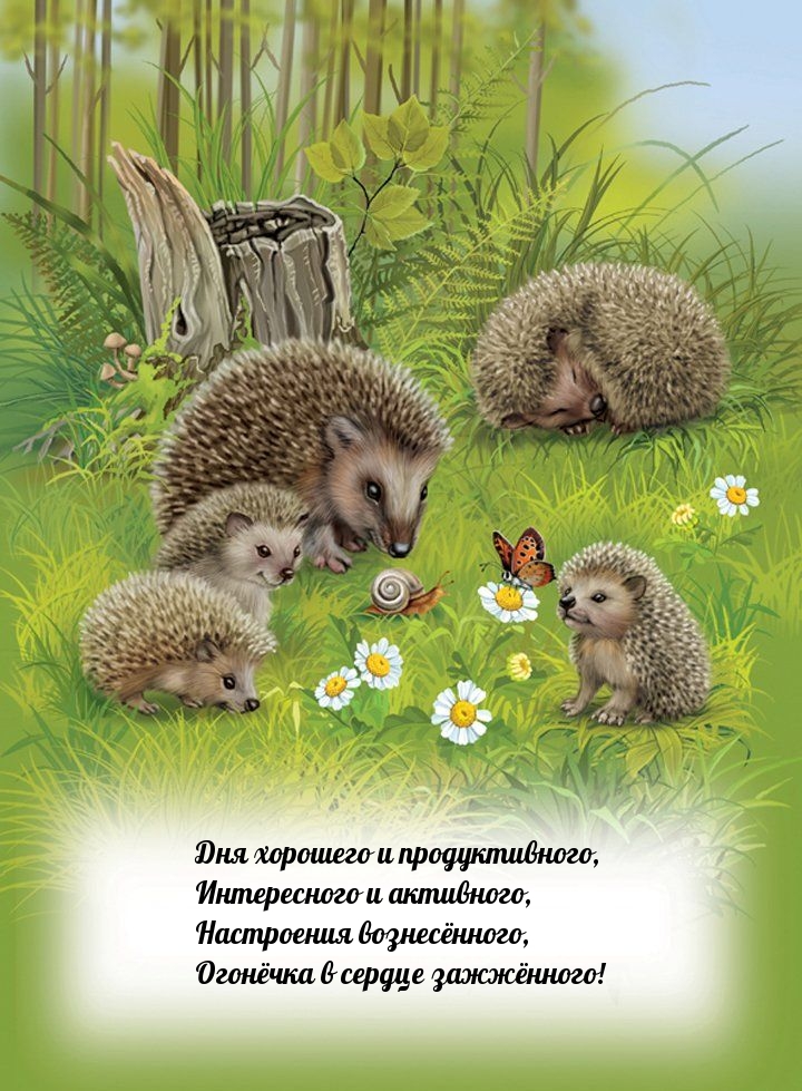Дня хорошего и продуктивного, и нтересного и активного