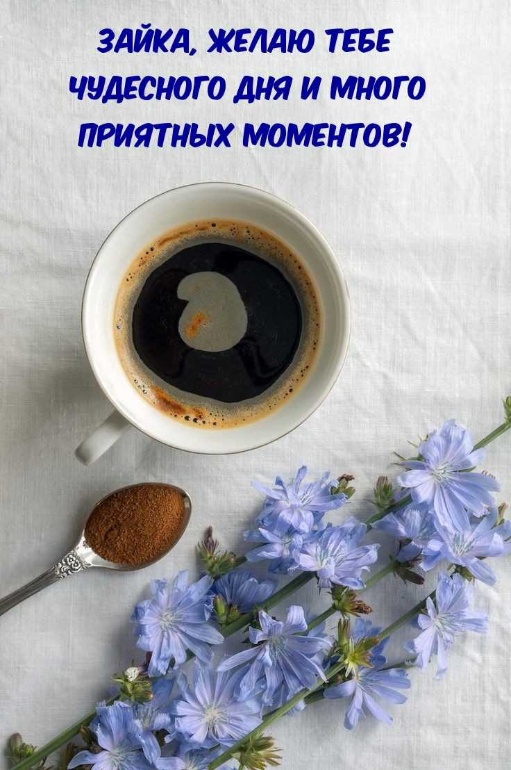 Зайка, желаю тебе чудесного дня и много приятных моментов!