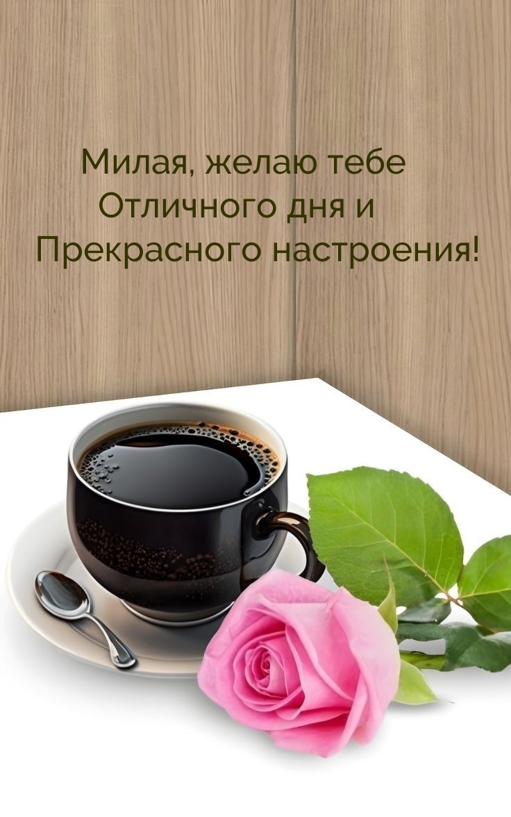 Милая, желаю тебе отличного дня и прекрасного настроения!