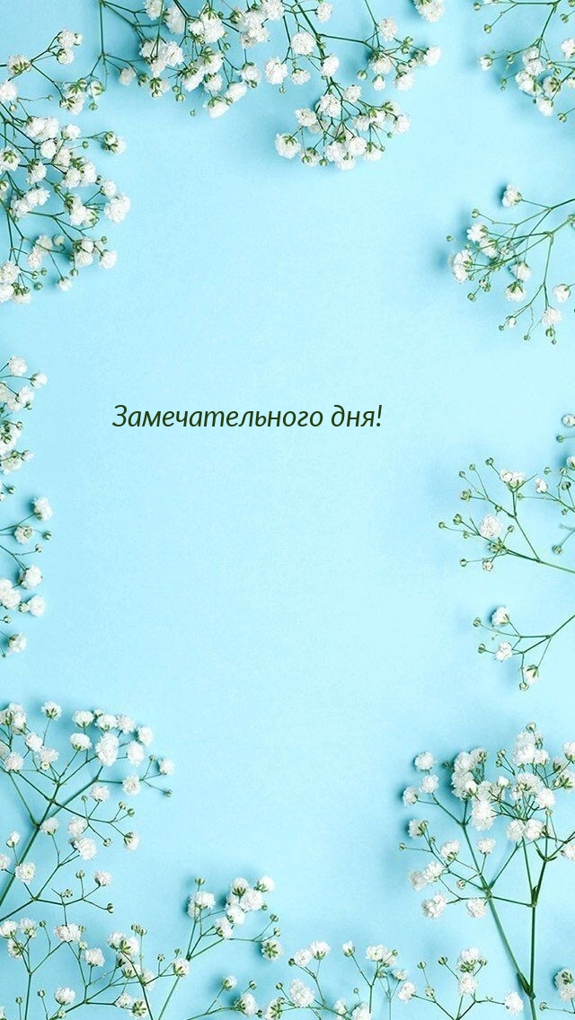 Замечательного дня!
