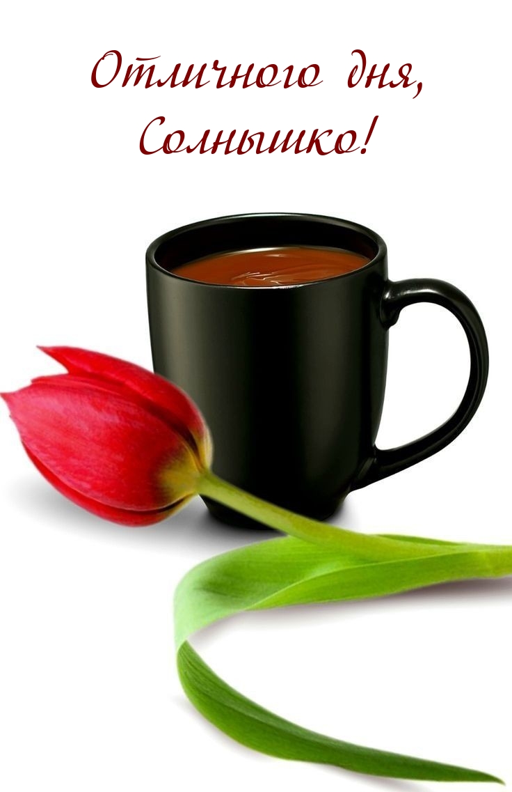 Отличного дня, солнышко!