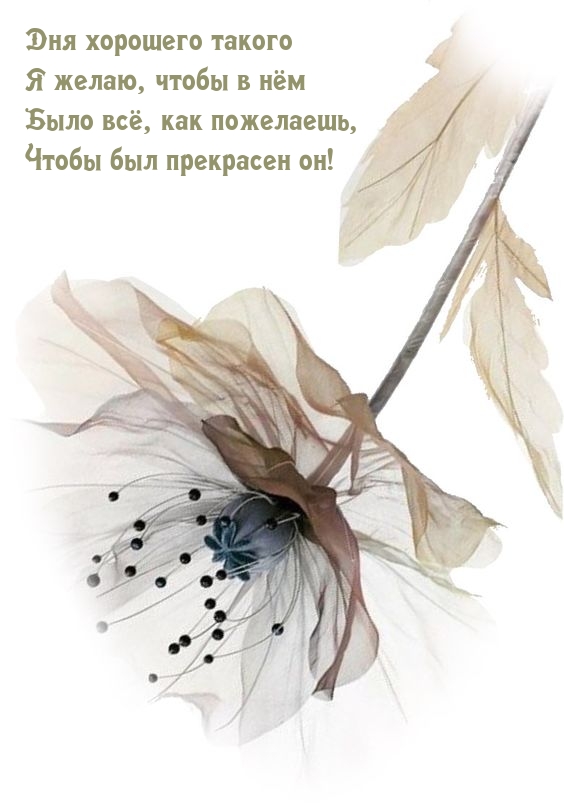 Дня хорошего такого я желаю, чтобы в нём было всё, как пожелаешь
