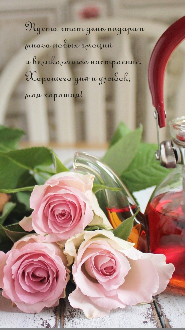 Хорошего дня и улыбок, моя хорошая!