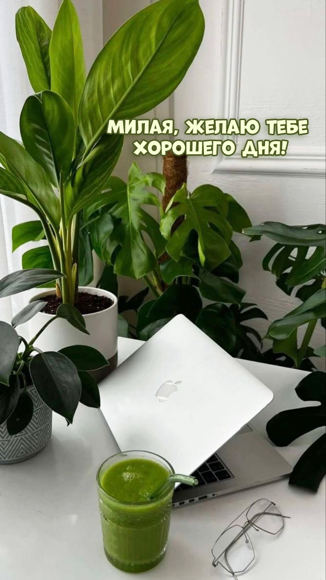 Милая, желаю тебе хорошего дня!