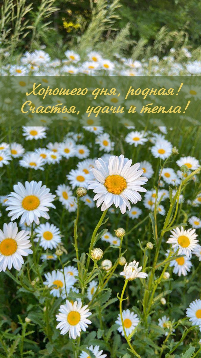 Хорошего дня, родная! Счастья, удачи и тепла!