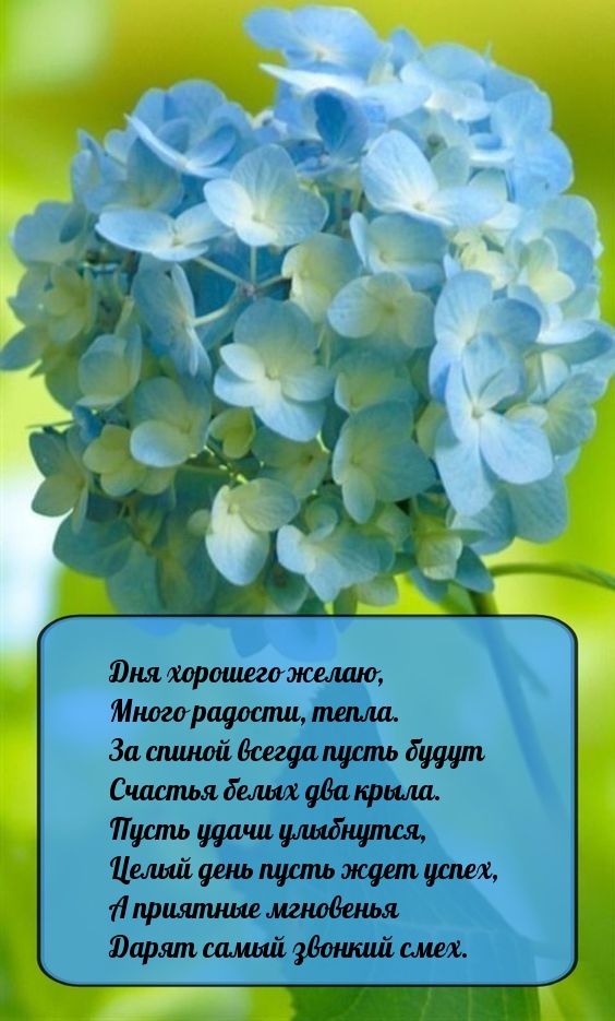 Дня хорошего желаю, много радости, тепла.